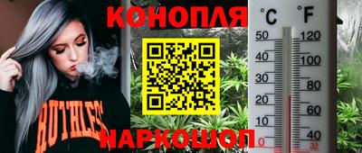 трава Кингисепп