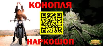 трава Кингисепп